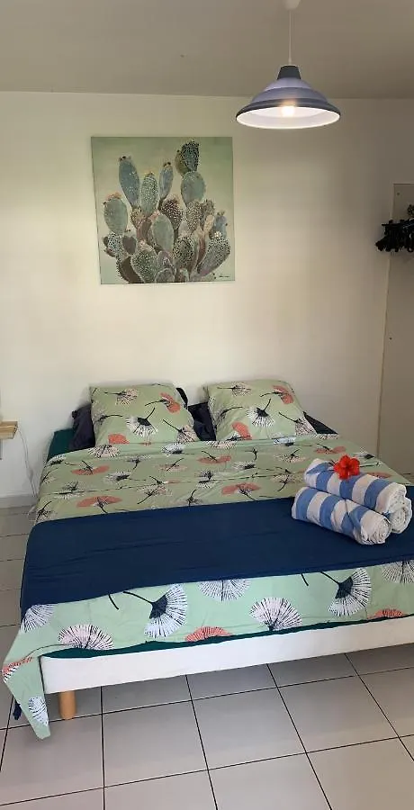 Appartement Gîte Le Gecko - Le Gosier Saint-Félix